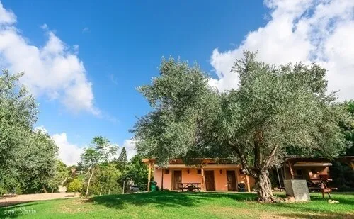 Slowness accommodation at Kibbutz Moran