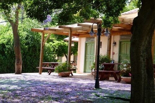 Slowness courtyard with pergola